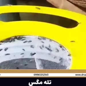 تله مگس